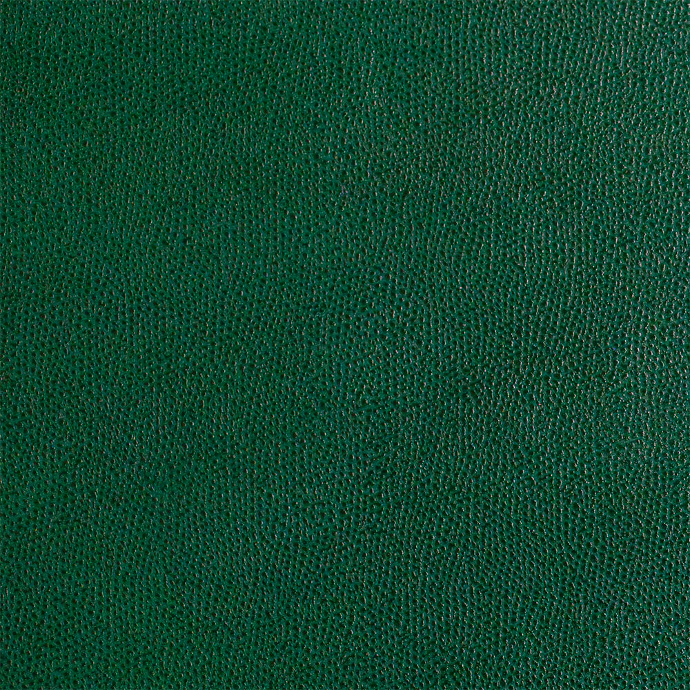 cuir de vachette graine vert foret.jpg