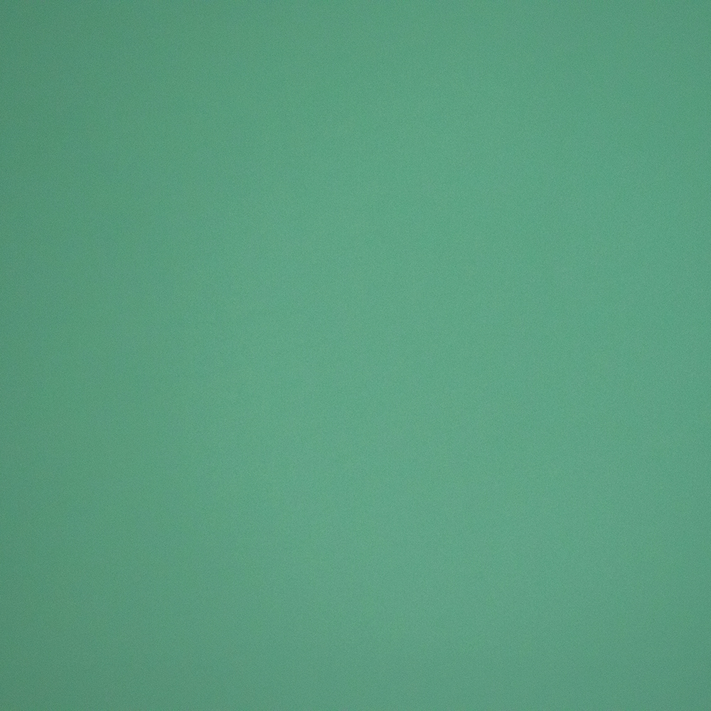 cuir de vachette lisse vert d eau